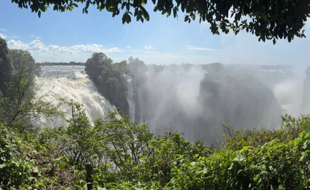 620 pixels placeholder image